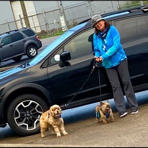 Northern Indians in the Fall.